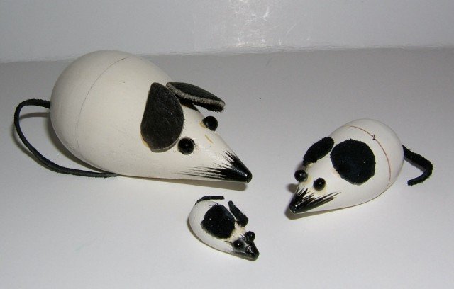 photo137.jpg