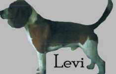 [Levi]